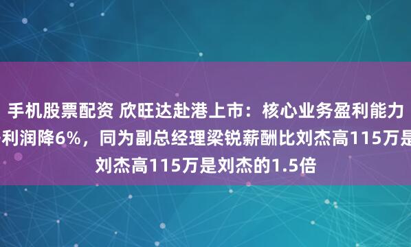 手机股票配资 欣旺达赴港上市：核心业务盈利能力下滑，扣非净利润降6%，同为副总经理梁锐薪酬比刘杰高115万是刘杰的1.5倍