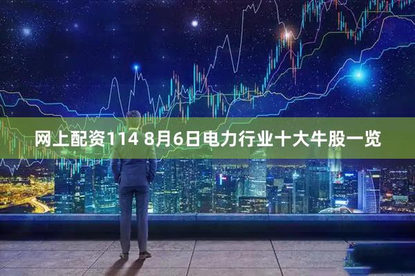 网上配资114 8月6日电力行业十大牛股一览